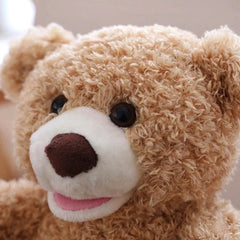 Peekaboo Bearâ„?- Endless entertainment for your little one