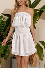 Swiss Dot Shirred Waist Overlay Tube Dress