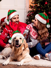 Unisex Red And Green Christmas Hat