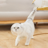 Breathable Cat Muzzle for Grooming Cat Helmet Cat Mouth Cover