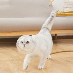 Breathable Cat Muzzle for Grooming Cat Helmet Cat Mouth Cover