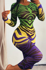 All Over Print Sheer Mesh Midi Dress