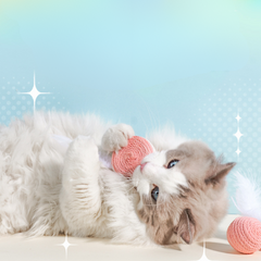 Interactive Cat Rope Feather Toys With Sound