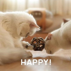 Pet Cats Chewing Natural Catip Toys