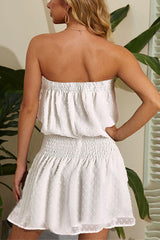 Swiss Dot Shirred Waist Overlay Tube Dress