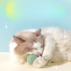 Interactive Cat Rope Feather Toys With Sound