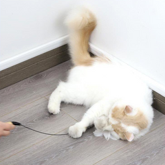 Cat Feather Teaser Wand Toys