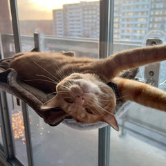 WindowSeatâ„?Supreme Cat Hammock | 50% Discount