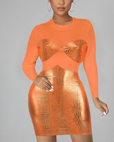 Metallic Snakeskin Print Sheer Mesh Long Sleeve Dress