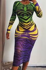 All Over Print Sheer Mesh Midi Dress