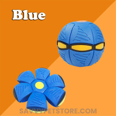 The Doggy Disc Ball | Make your pup happy