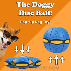 The Doggy Disc Ball | Make your pup happy