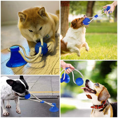 Suction Cup Dog Tug Toy