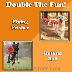 The Doggy Disc Ball | Make your pup happy