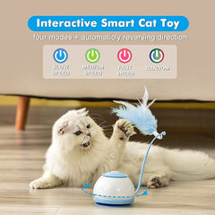 Electric Teasing Rotating Feather Interactive Cat Toy USB Charging