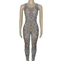 Krystal Mesh Jumpsuit