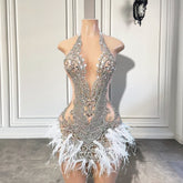 Luxury Beaded Crystal Feather Dress