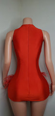 Luxury Sheer Crystal Feather Mini Dress