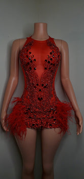 Luxury Sheer Crystal Feather Mini Dress