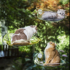 Cat Clear Hammock Window Cat Bed