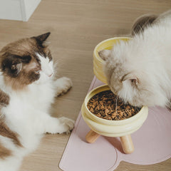 Pet Cat Food Bowl Water Bowl Ceramic Feeder