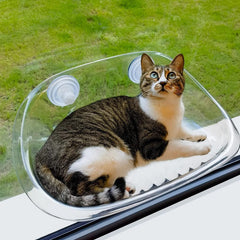 Cat Clear Hammock Window Cat Bed