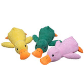 Dog Plush Duck Toys Squeaky