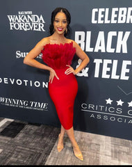 Olivia Feather Bandage Dress