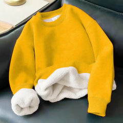 Hoodies Men y2k Cashmere Thickened Warm Sweatshirt Solid