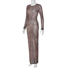 Mysterious One Mesh Long Sleeve Maxi Dress