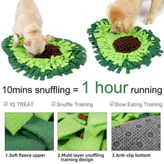 Avocado Pet Dog Snuffle Mat Nose Smell Training Toy