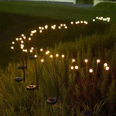 FireflyLightsâ„?| Firefly Solar hail light | 2 + 2 free