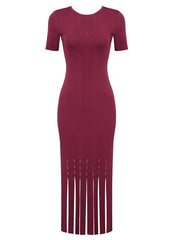 Sherri Bodycon Tassel Dress