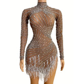 Stoni Pearls Fringe Mesh Dress