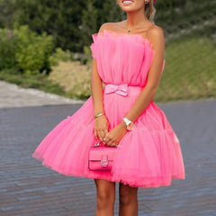 Tutu Off Shoulder Mesh Mini Dress