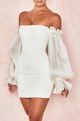 Lantern Sleeve Cover Hip Tube Top Mini Dress