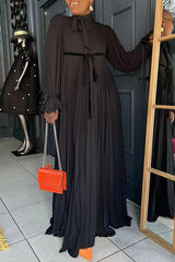 Solid Panel Pleated Maxi Dress