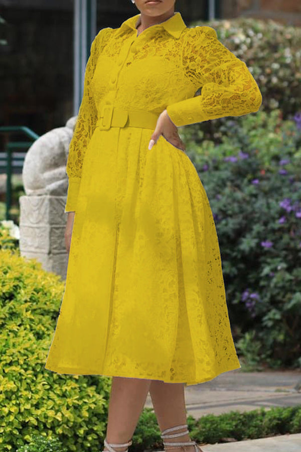 Casual Elegant Lace Swing Midi Dress