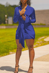 Fashion Long Sleeve Knotted Viscose Solid Color Mini Dress