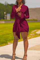 Fashion Long Sleeve Knotted Viscose Solid Color Mini Dress