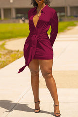 Fashion Long Sleeve Knotted Viscose Solid Color Mini Dress