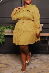 Round Neck Single Breasted Blouse Large Long Sleeve Pleated Dress