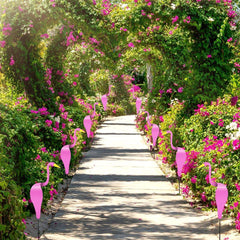 1+1 FREE | SwingingFlamingoâ„?- Flamingo garden decoration! Last day discount