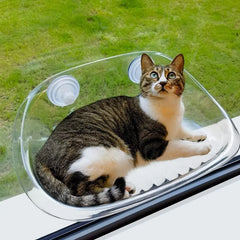 ViewNestâ„?- Ultimate comfort and entertainment for your cat Last day discount
