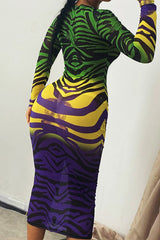 All Over Print Sheer Mesh Midi Dress