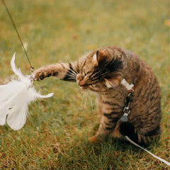 MeowFeather Toyâ„?- Interactive cat toy with feathers - 1+1 FREE