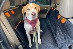 WoofProofâ„?- Car seat cover for dogs
