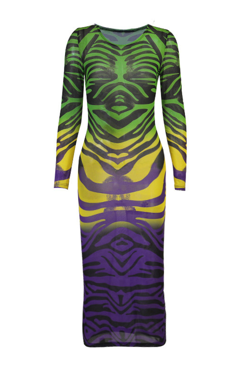 All Over Print Sheer Mesh Midi Dress