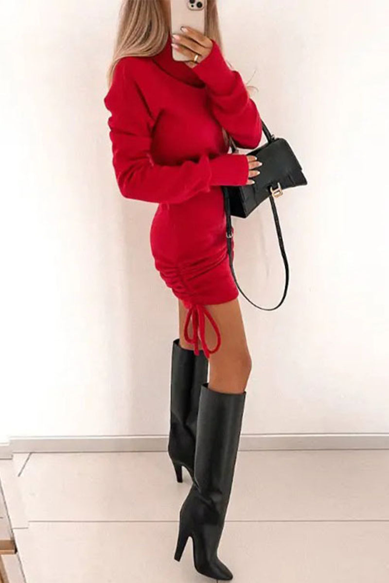 Turtleneck Drawstring Bodycon Dress