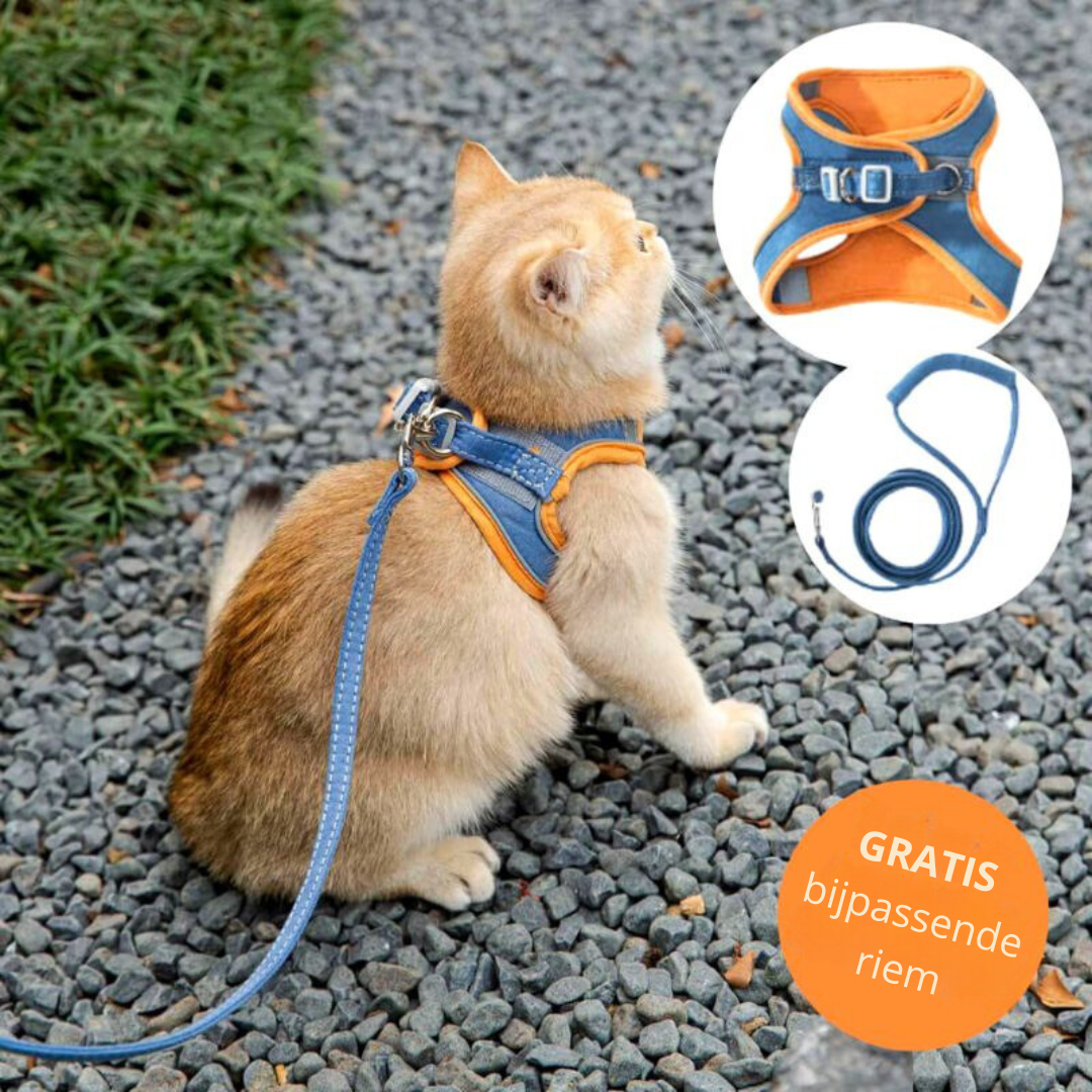 1+1 FREE | Supreme Cat Beltâ„?- Soft and stylish cat harness!